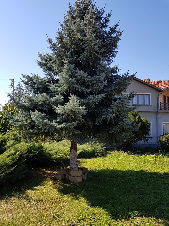 Къща За Гости Садово Guest House Sadovo Eksteriør billede